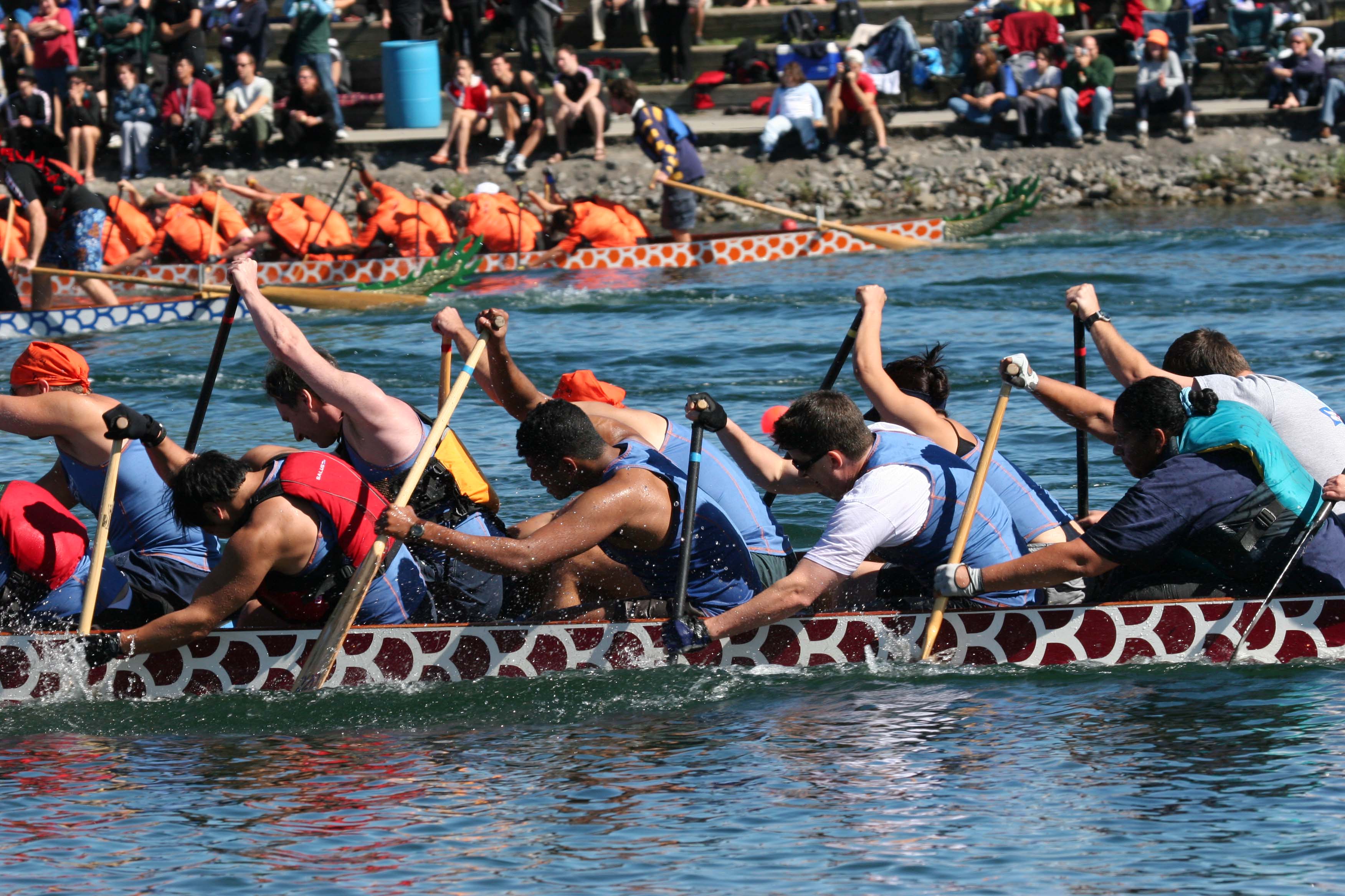 Close Action in Dragon Boat Racing