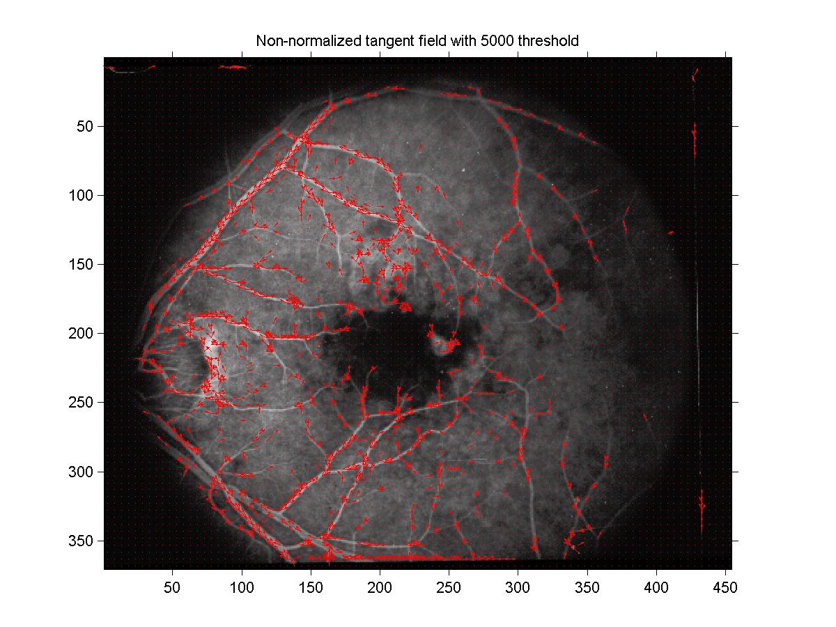 images/tan_field_5000th.jpg